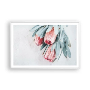Plakát v bílém rámu - Zahanbené svou vlastní krásou - 91x61 cm