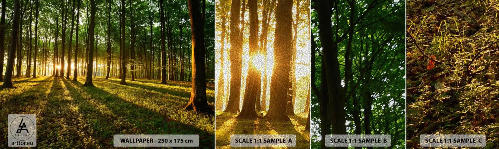 Vzor Fototapety Premium Sand - Fotografie všech jar - Krajina, Les, Příroda - 100x30 cm