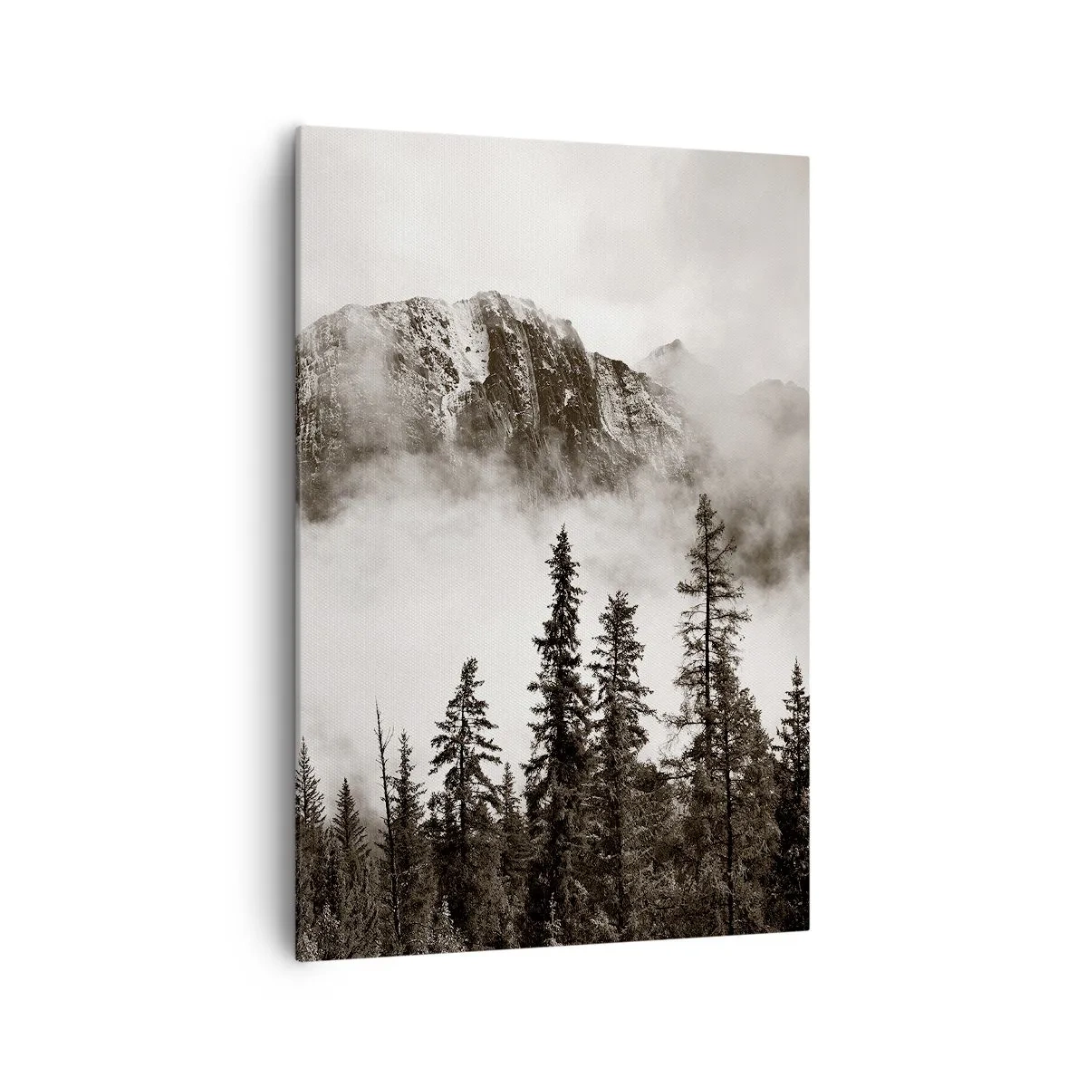 Obraz na plátně - Žulový panovník - 70x100 cm