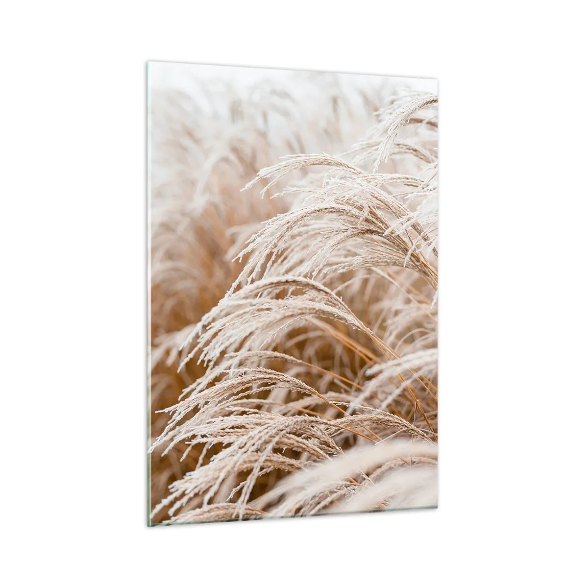 Obraz na skle - Klanění podzimnímu slunci - 50x70 cm