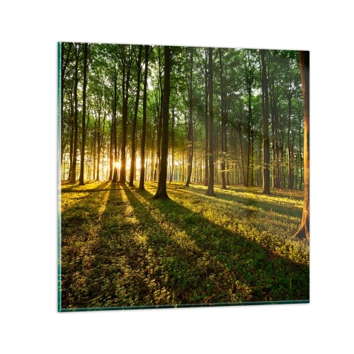 Obraz na skle - Fotografie všech jar - 30x30 cm