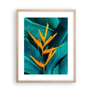 Plakát v rámu světlý dub - Rajský květ - 40x50 cm