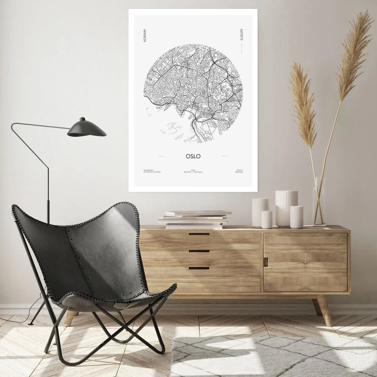 Plakát - Anatomie Osla - 61x91 cm