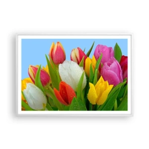 Plakát v bílém rámu - Květinová duha v kapkách rosy - 100x70 cm