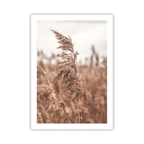 Plakát - Na polích už je podzim - 50x70 cm