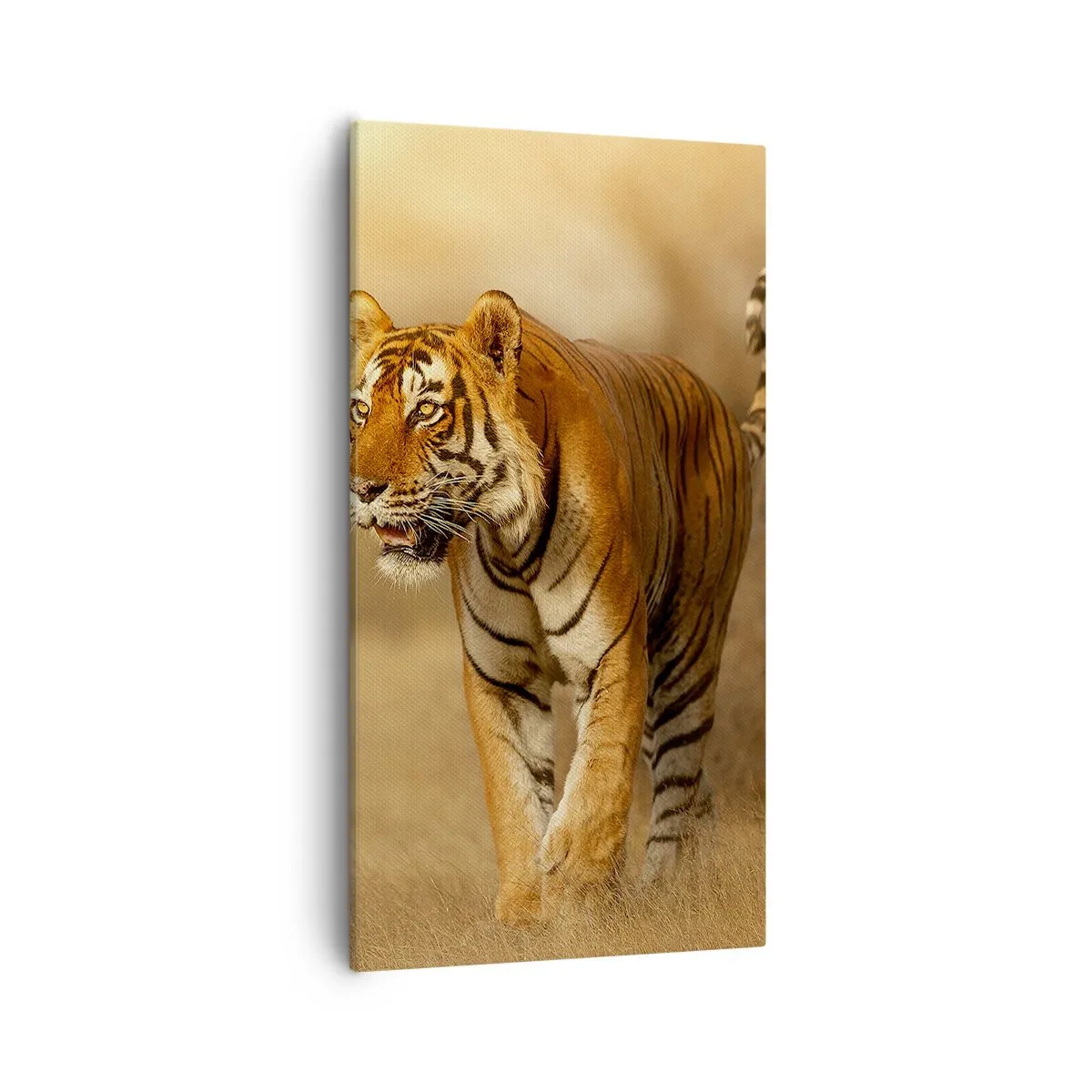 Obraz na plátně - Před útokem - 55x100 cm