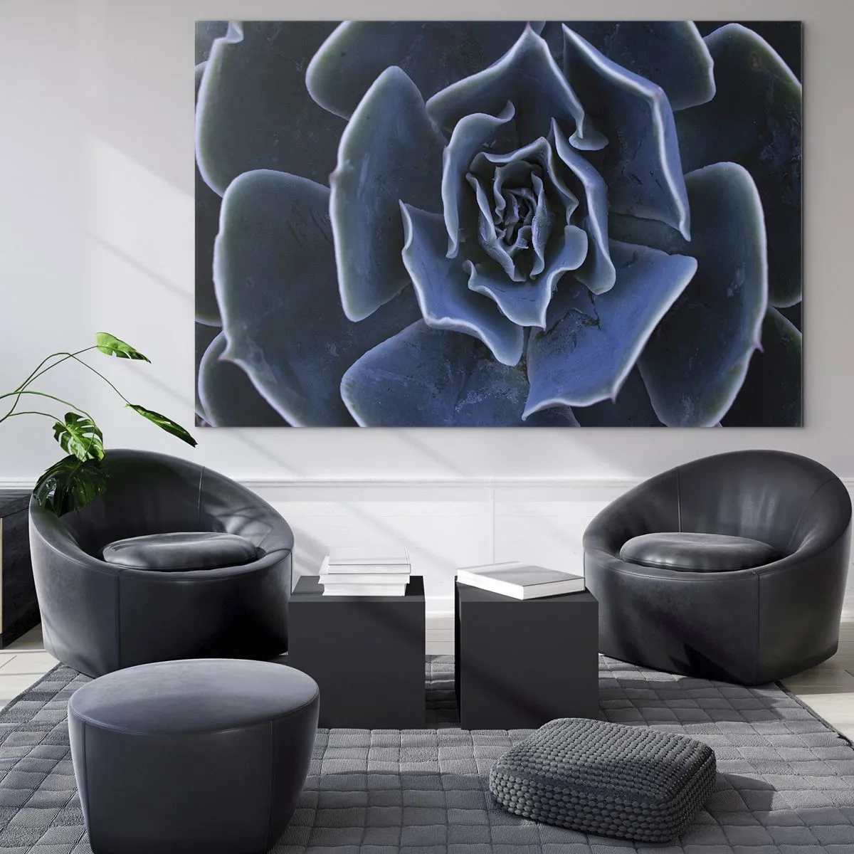 Obraz na skle - Makrofotografie sukulentu v odstínech studené modré - 70x50cm - Pouštní květ - Moderní nástěnná dekorace do obývacího pokoje a ložnice ARTTOR