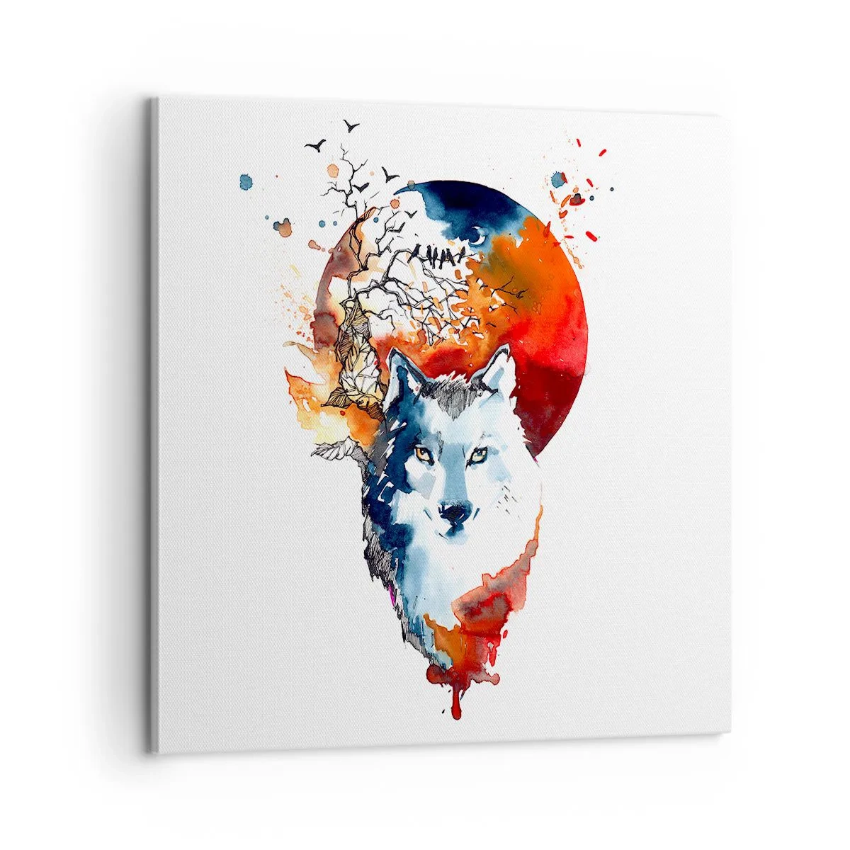 Obraz na plátně - Nosem na skle - 60x60 cm