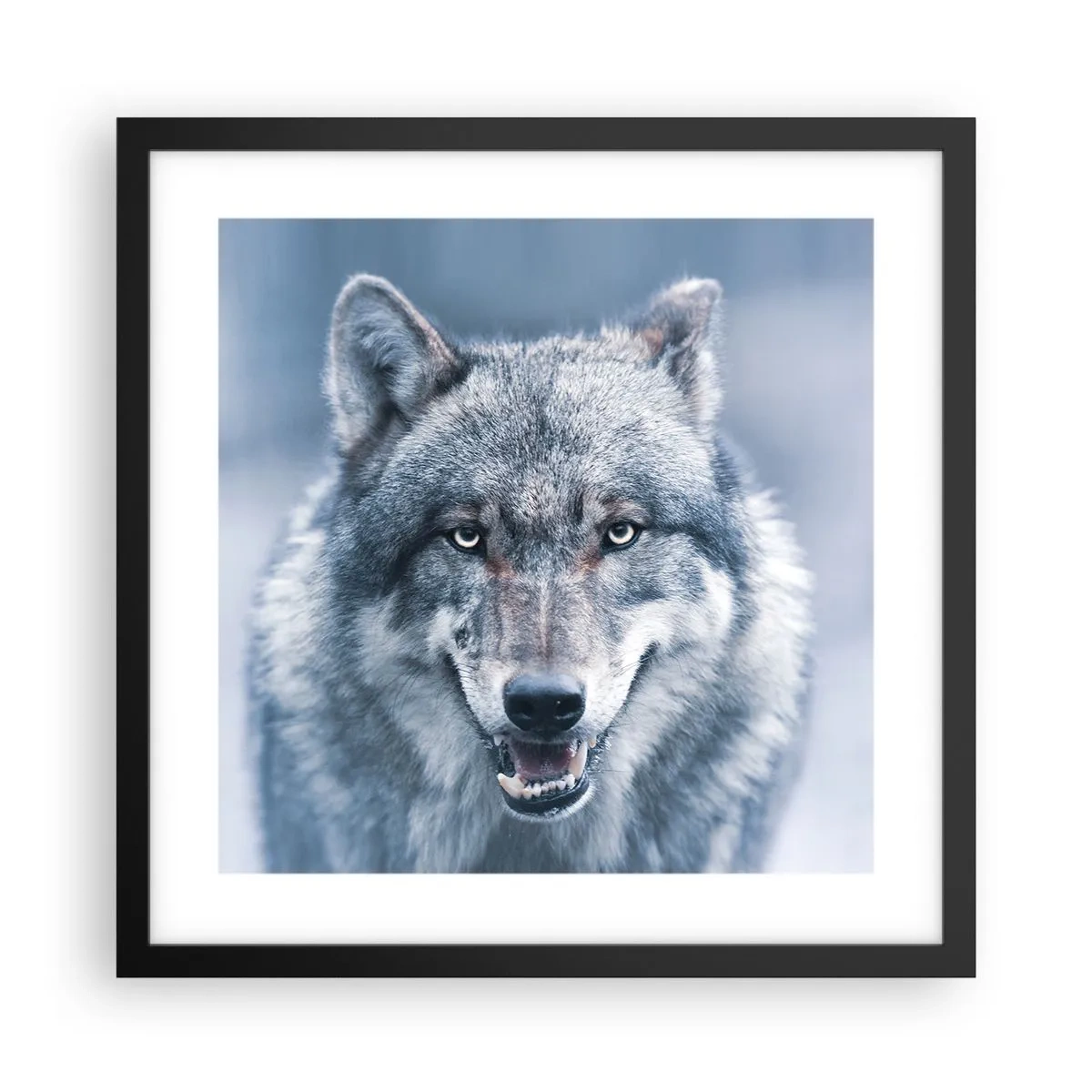 Plakát v černém rámu - Přijmete tuto výzvu? - 40x40 cm