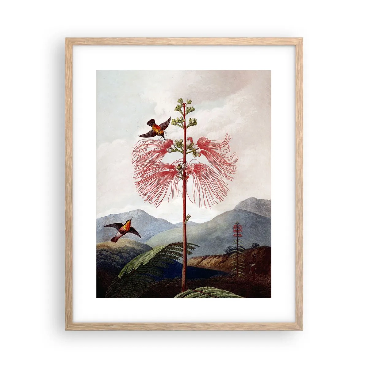Plakát v rámu světlý dub - V tropickém ráji - 40x50 cm