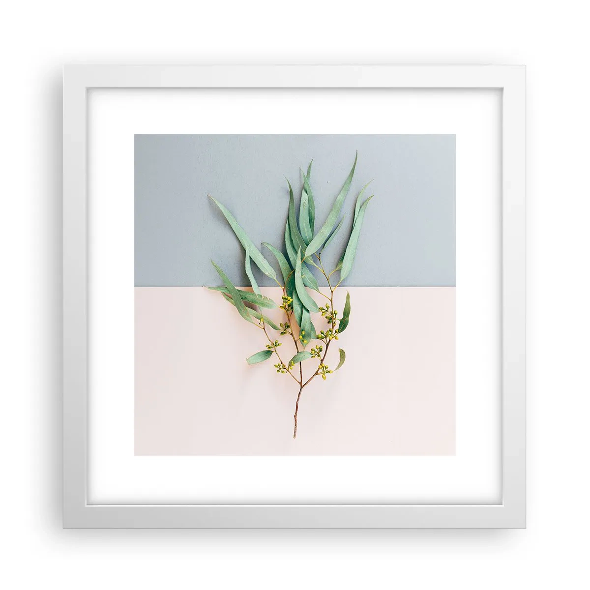 Plakát v bílém rámu - Pastelová jemnost - 30x30 cm