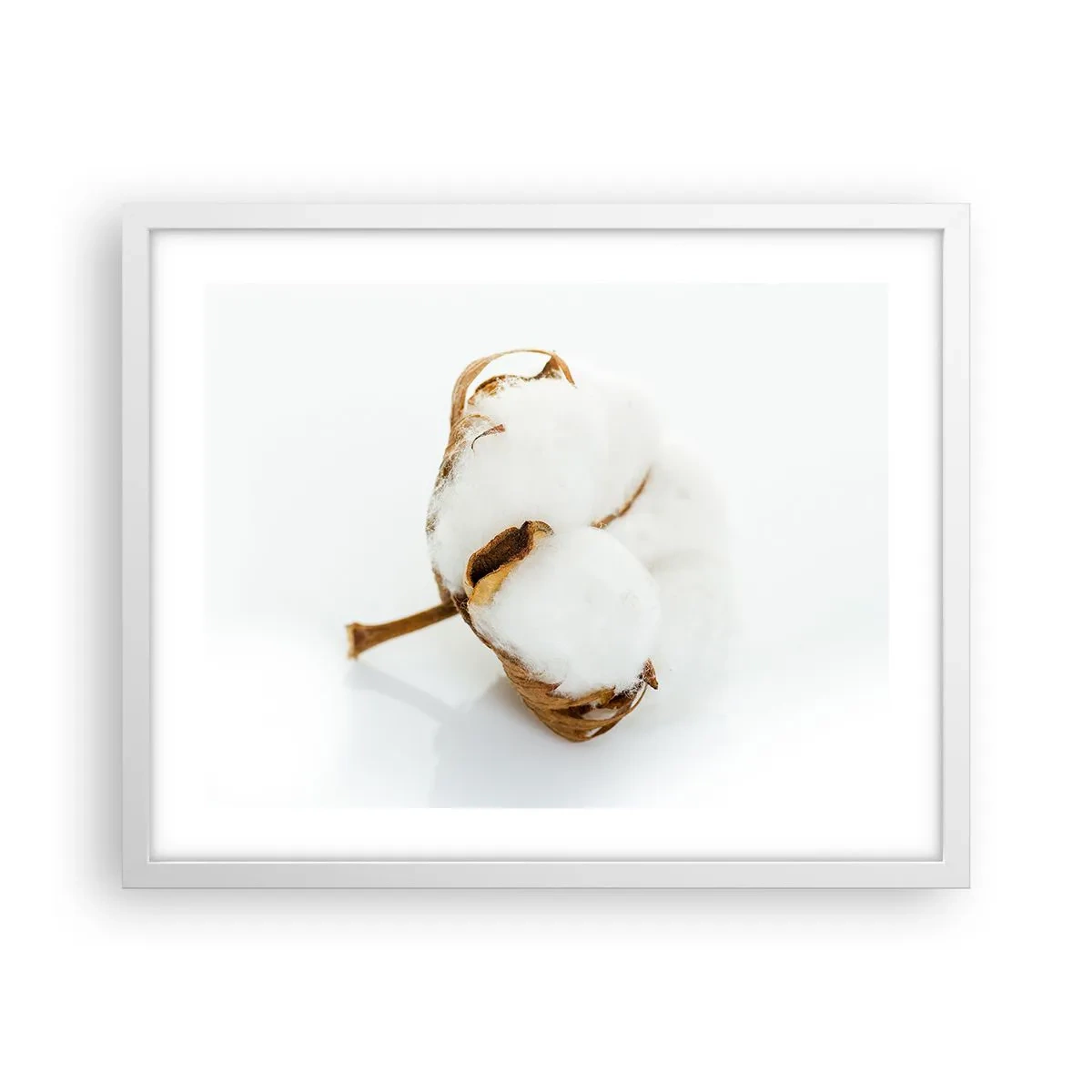 Plakát v bílém rámu - Měkká od přírody - 50x40 cm