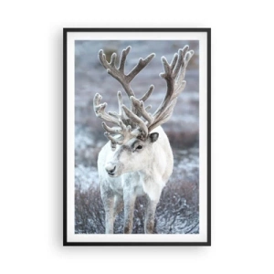 Plakát v černém rámu - Sluneční portrét - 61x91 cm