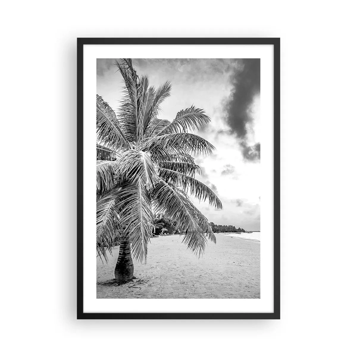 Plakát v černém rámu - Černá a bílá palma na prázdné pláži pod zataženou oblohou. - 50x70cm - Když toužíš po samotě…. - Moderní nástěnná dekorace do obývacího pokoje a ložnice ARTTOR