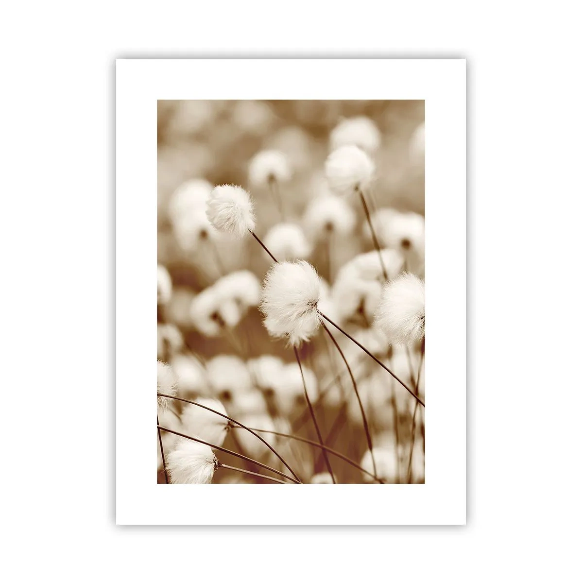 Plakát - Chlupatý lán - 30x40 cm