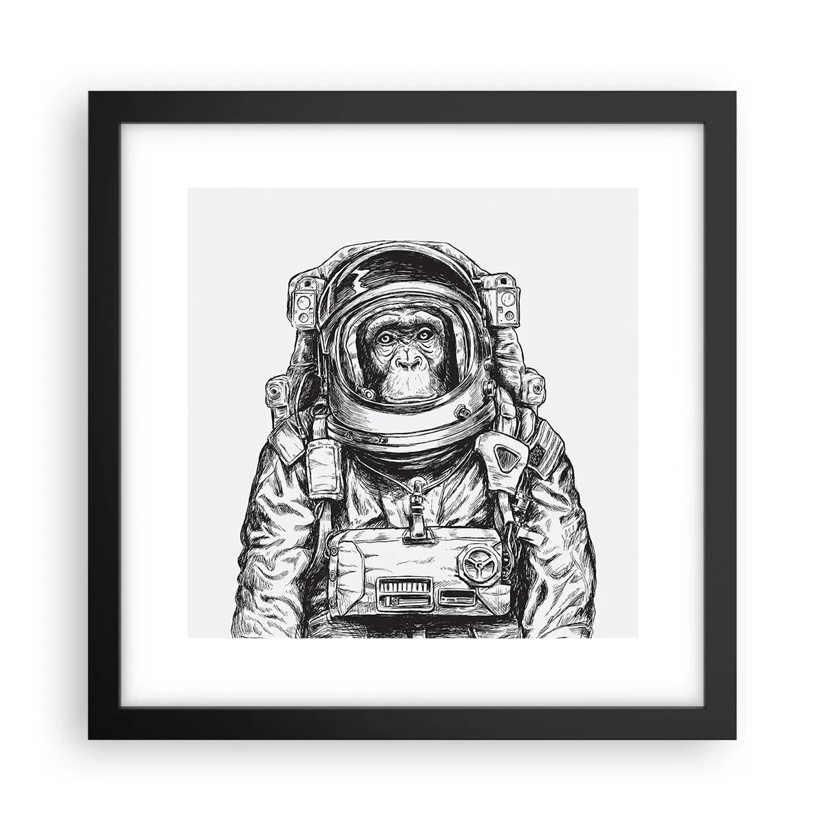 Plakát v černém rámu - Alternativní vývoj - 30x30 cm