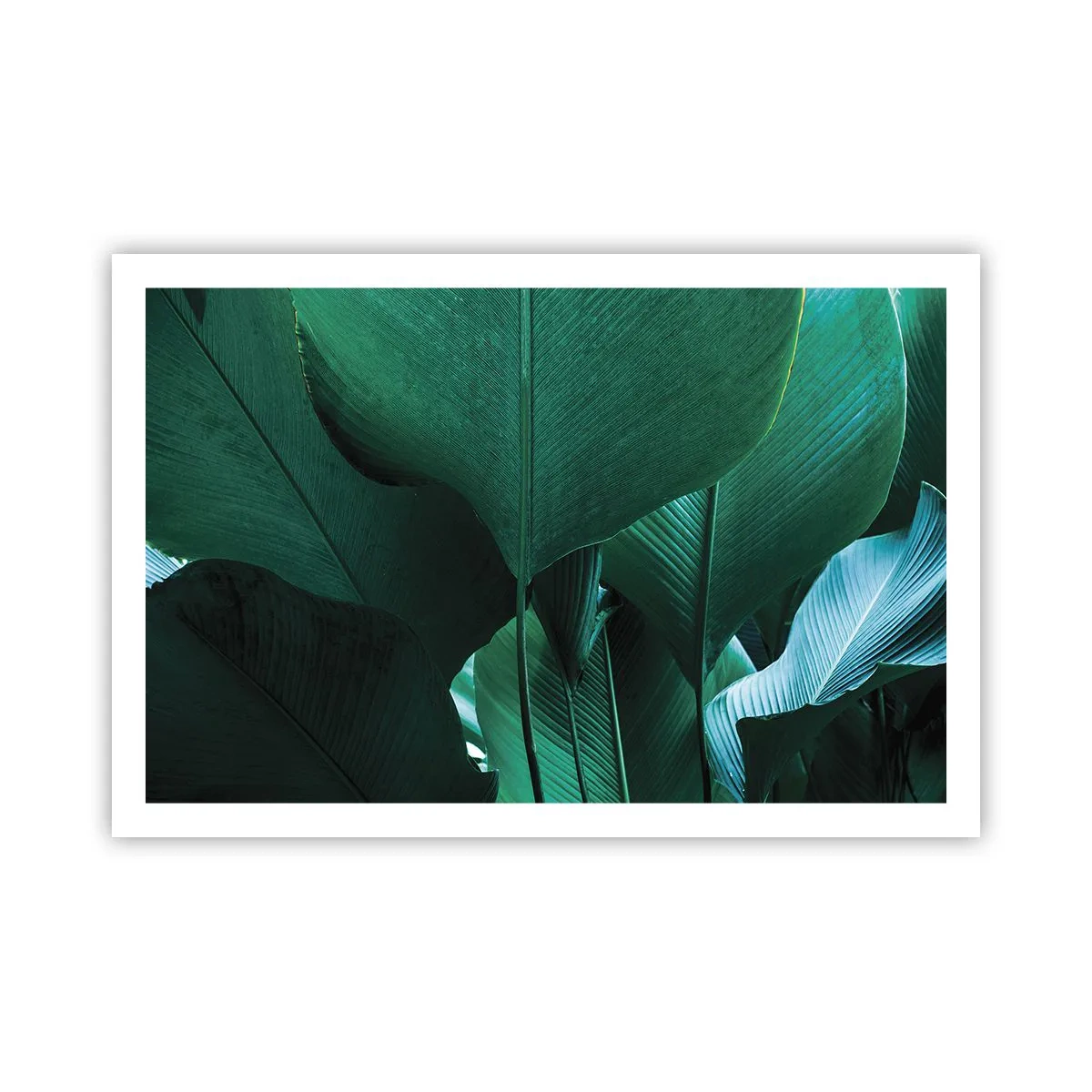 Plakát - Obrácené ke světlu - 91x61 cm