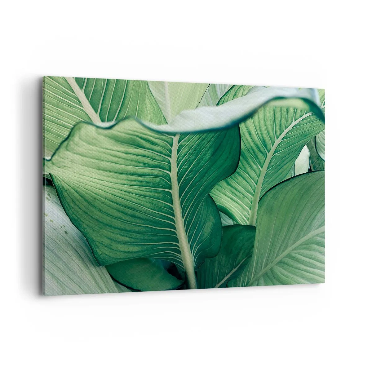 Obraz na plátně - Intenzivně zelený život - 100x70 cm