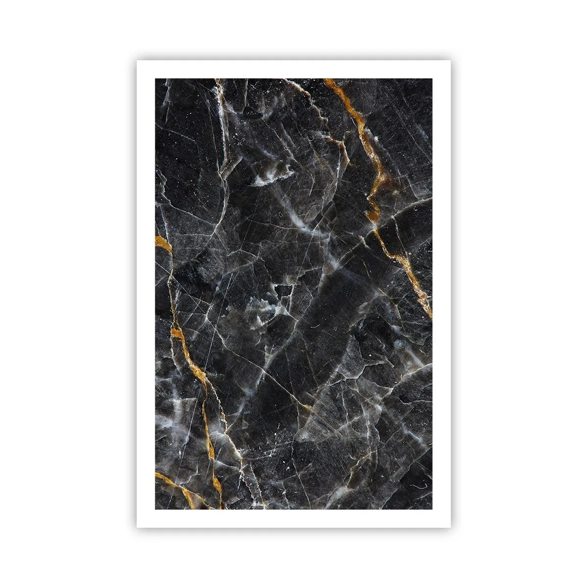 Plakát - Vnitřní život kamene - 61x91 cm