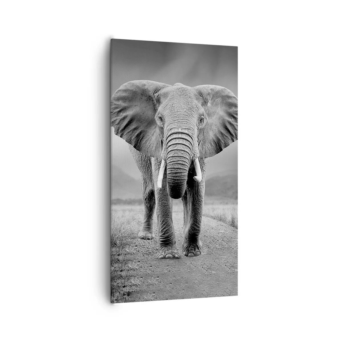 Obraz na plátně - Hostitel vítá - 65x120 cm