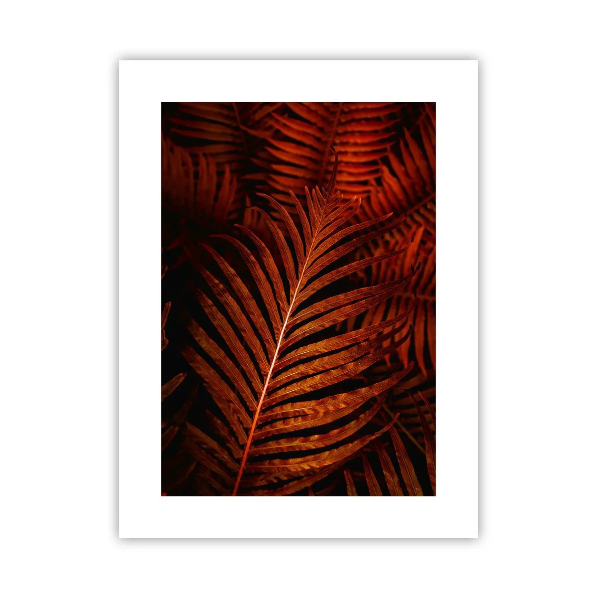 Plakát - Žár života - 30x40 cm