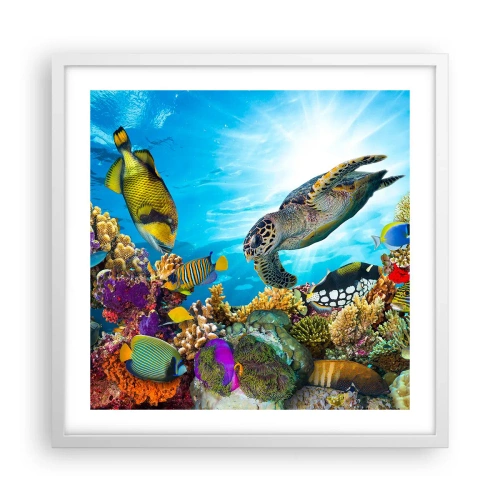 Plakát v bílém rámu - Korálová promenáda - 50x50 cm