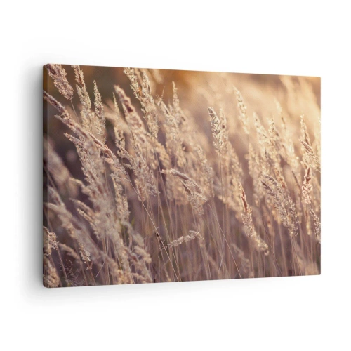 Obraz na plátně - Zlaté trávy na pozadí zapadajícího slunce - 70x50cm - Připraveni přivítat podzim - Moderní nástěnná dekorace do obývacího pokoje a ložnice ARTTOR