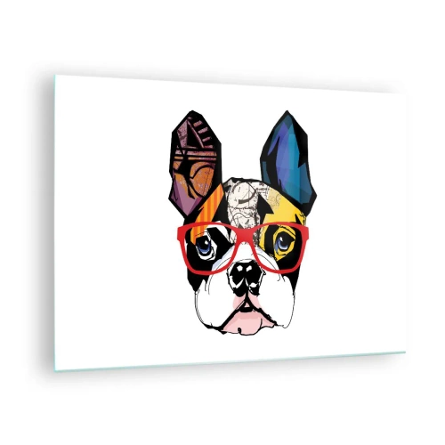 Obraz na skle - Buldok s barevnými brýlemi na bílém pozadí - 70x50cm - Intelektuál - Moderní nástěnná dekorace do obývacího pokoje a ložnice ARTTOR