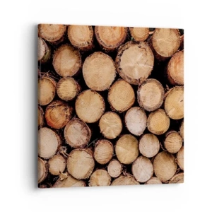 Obraz na plátně - Nový začátek - 40x40 cm