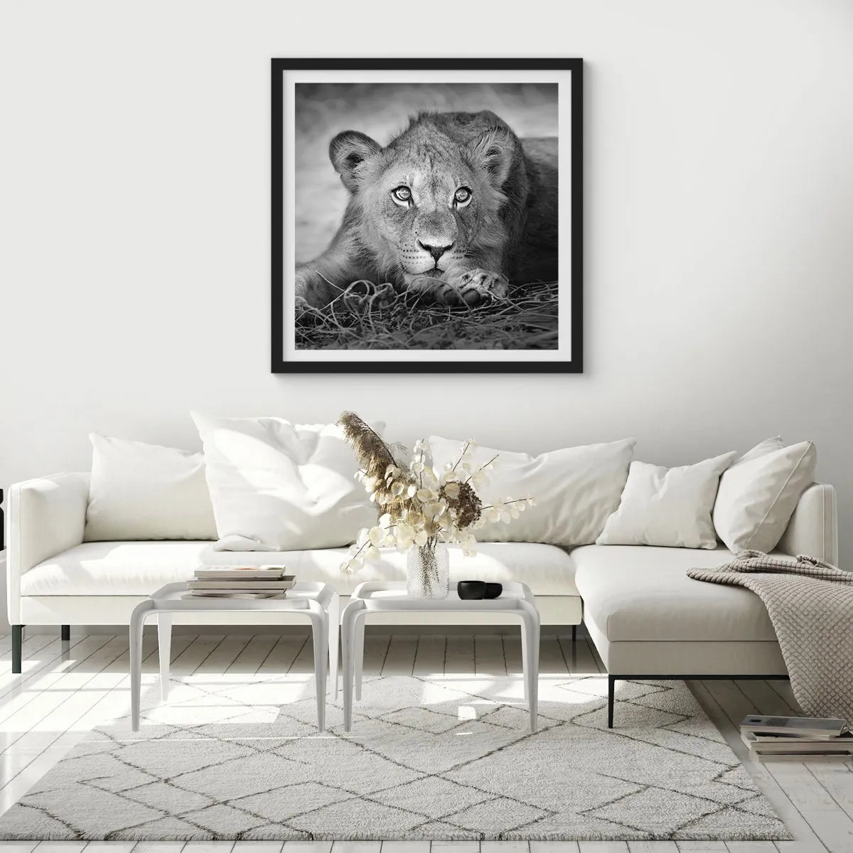 Plakát v černém rámu - Královské štěně - 40x40 cm