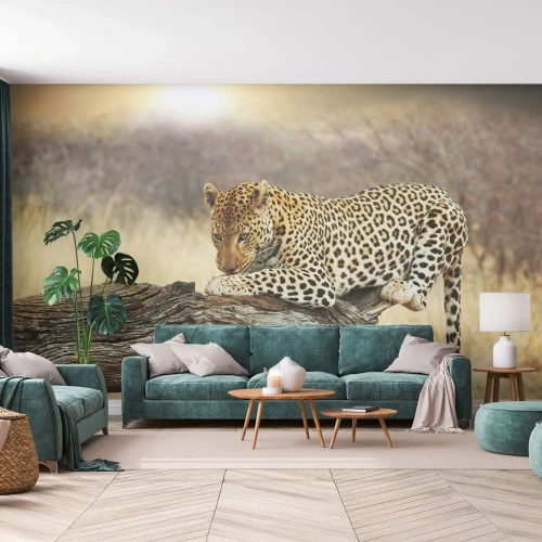 Fototapeta Premium Sand - Chodím vlastními cestami - Zvířata, leopard, Afrika - 150x105 cm