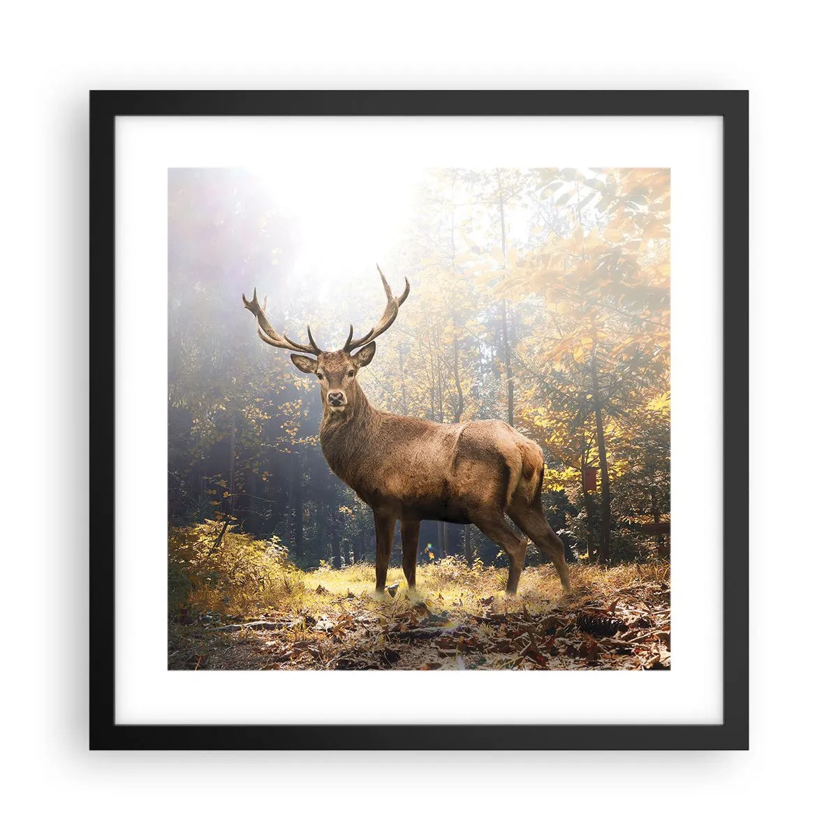 Plakát v černém rámu - Plné důstojnosti - 40x40 cm