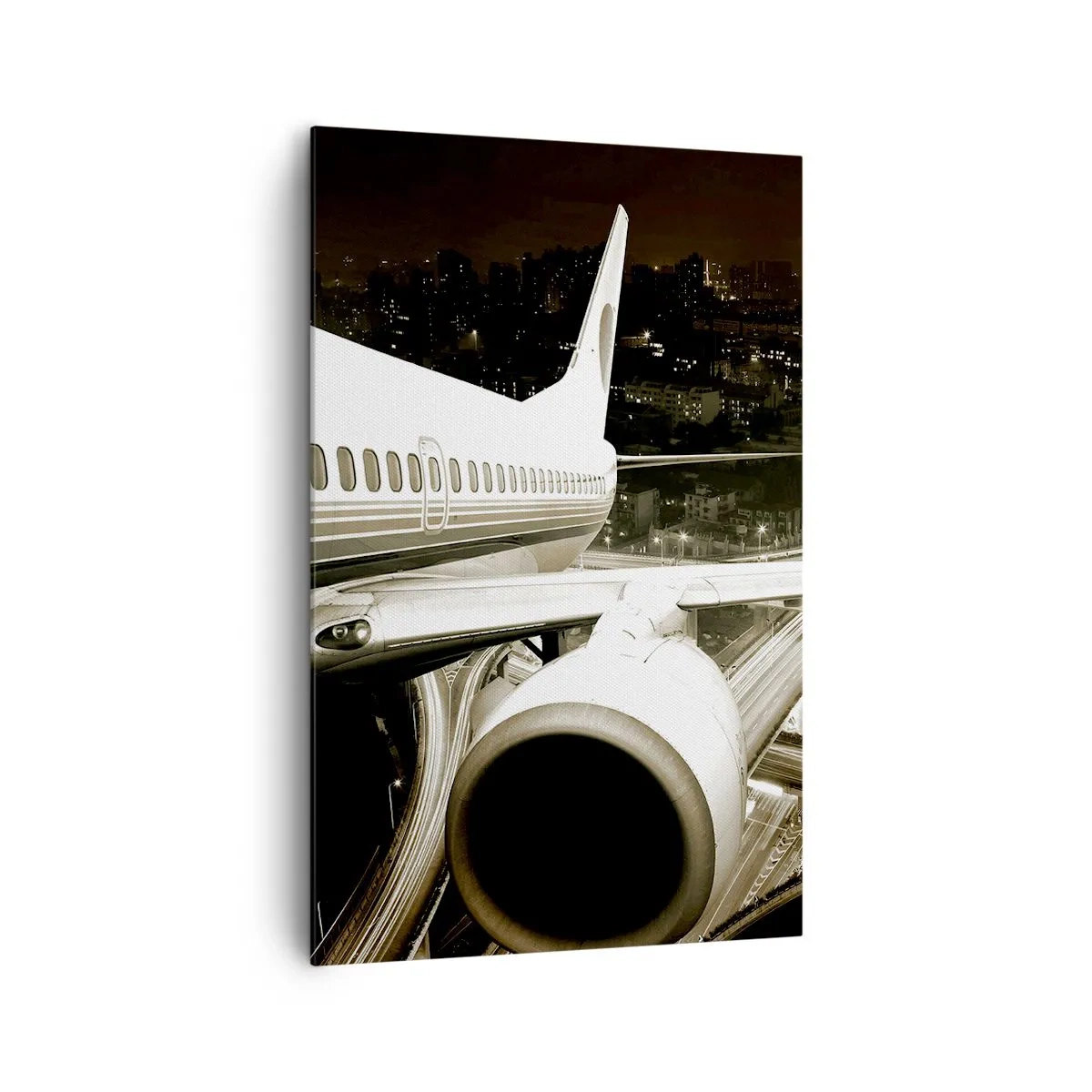 Obraz na plátně - Letět do noci - 80x120 cm