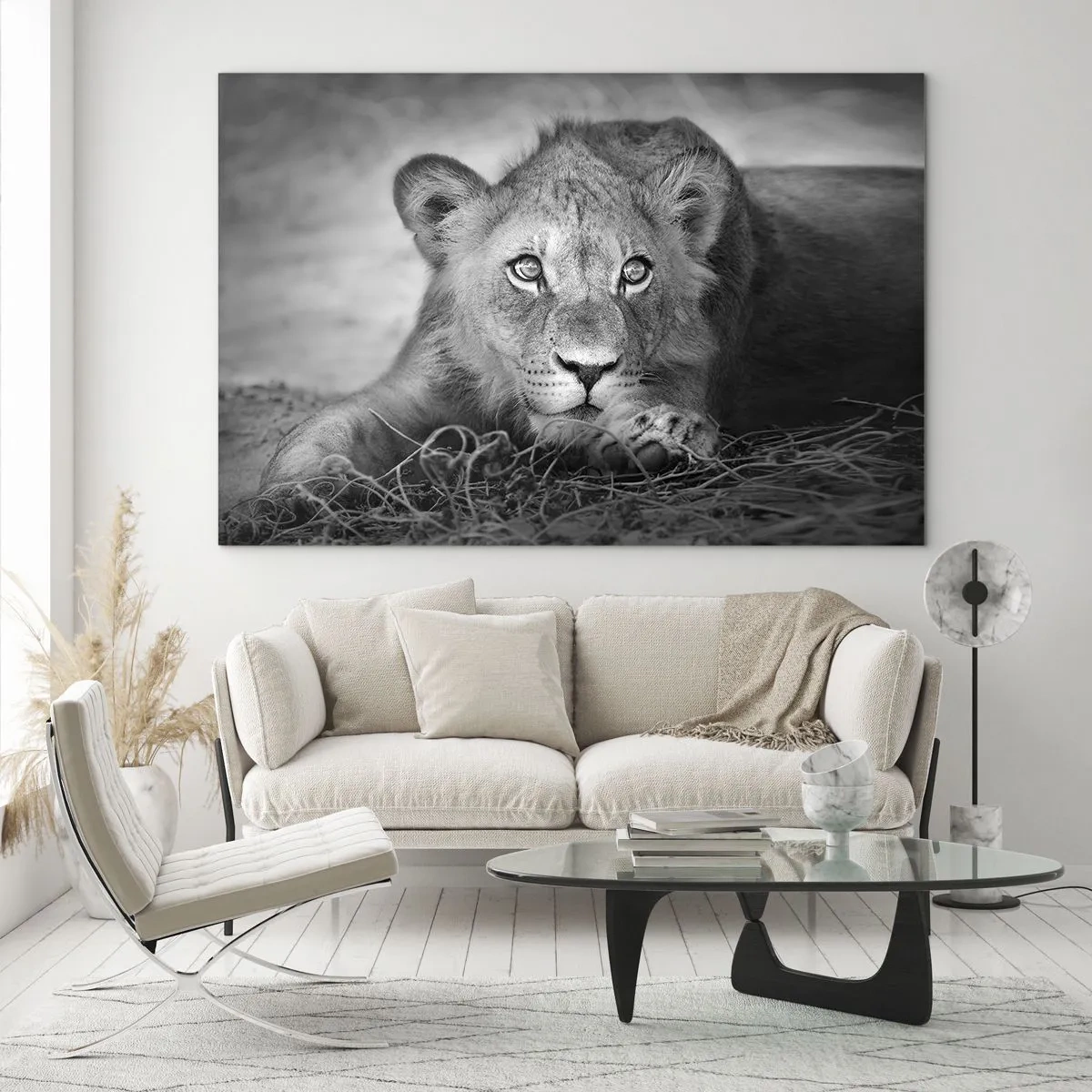 Obraz na skle - Lvíče v černé a bílé zírá do kamery - 70x50cm - Královské štěně - Moderní nástěnná dekorace do obývacího pokoje a ložnice ARTTOR