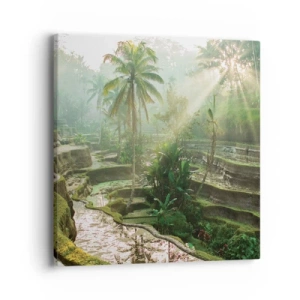 Obraz na plátně - Vyrůstát na slunci - 40x40 cm