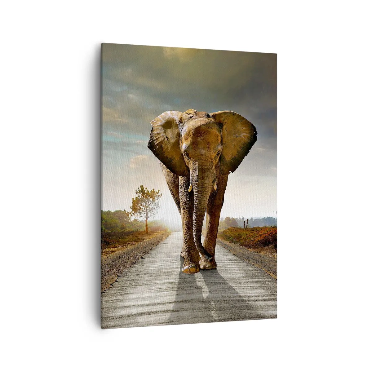 Obraz na plátně - A vůbec ne ve skladu porcelánu - 70x100 cm