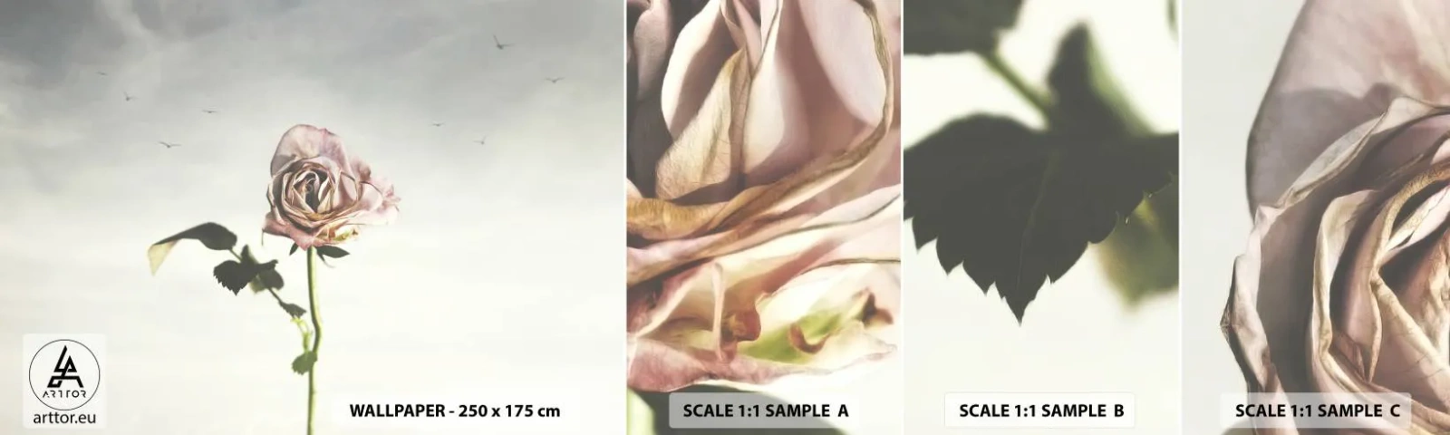 Vzor Fototapety Samolepicí Deluxe Sticker - Vítání jara - Růže, Květ, Kus - 100x30 cm