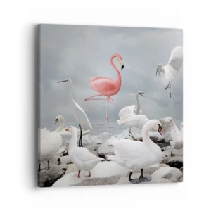 Obraz na plátně - Kde jsem se tu vzal? - 40x40 cm