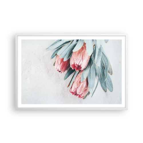 Plakát v bílém rámu - Zahanbené svou vlastní krásou - 91x61 cm