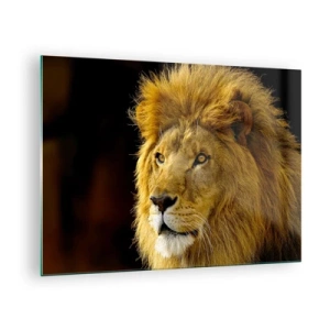 Obraz na skle - Portrét majestátního lva na tmavém pozadí - 70x50cm - Portrét krále - Moderní nástěnná dekorace do obývacího pokoje a ložnice ARTTOR