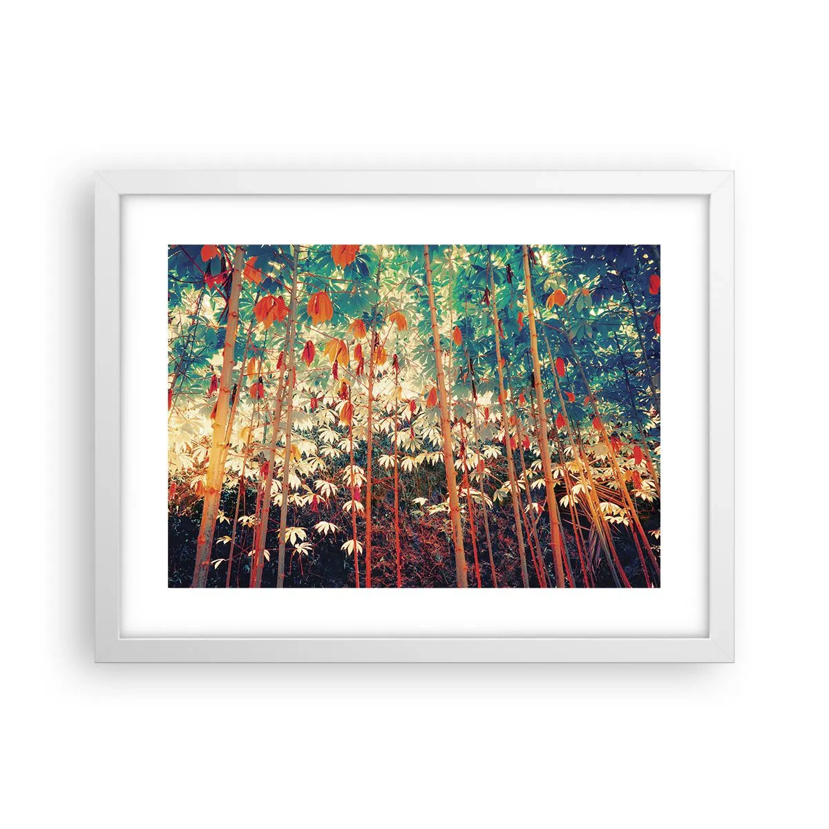 Plakát v bílém rámu - Tajný život listů - 40x30 cm