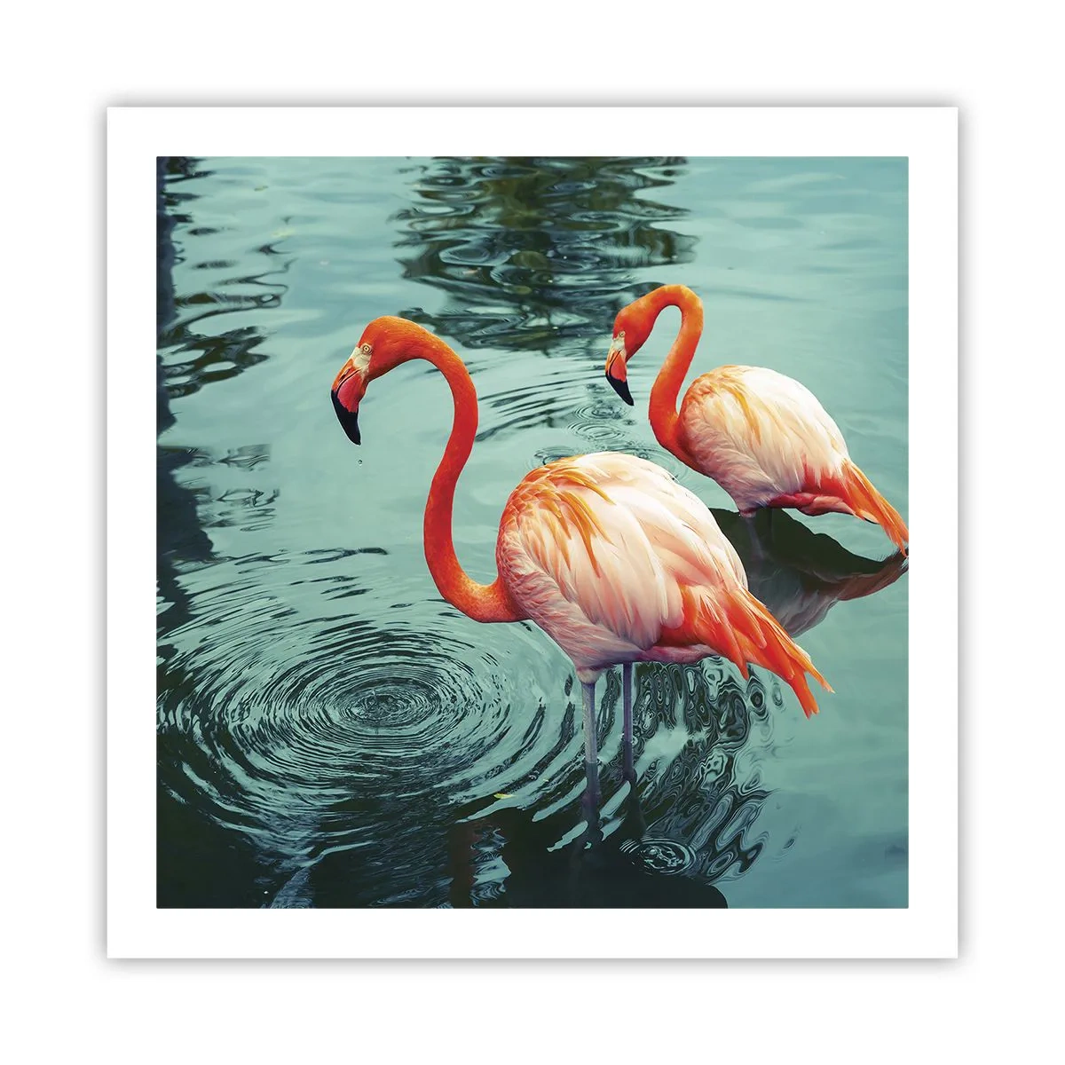 Plakát - Nyní jsme v módě - 60x60 cm