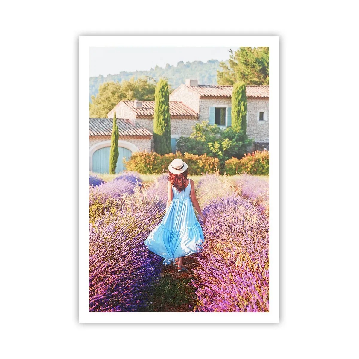 Plakát - Levandulová dívka - 70x100 cm