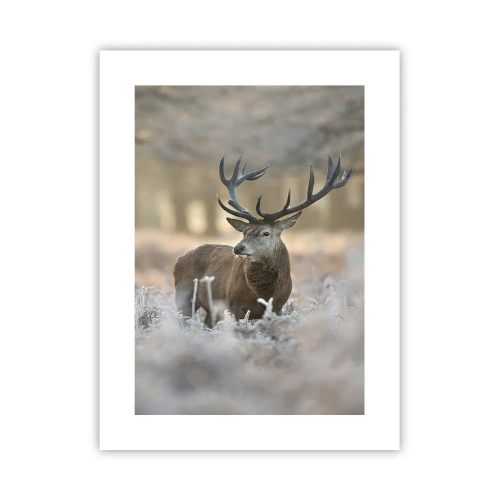 Plakát - Svěží ráno - 30x40 cm