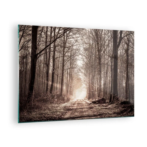 Obraz na skle - Lesní cesta v ranní mlze - 70x50cm - Lesní katedrála - Moderní nástěnná dekorace do obývacího pokoje a ložnice ARTTOR