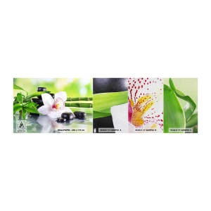 Vzor Fototapety Premium Canvas - Chladná svěžest - Bambus, Květ, Orchidej - 100x30 cm