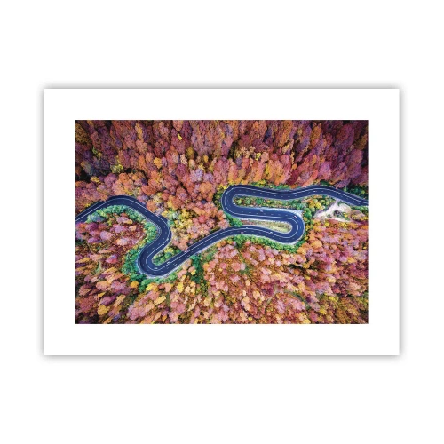 Plakát - Klikatá cesta lesem - 40x30 cm