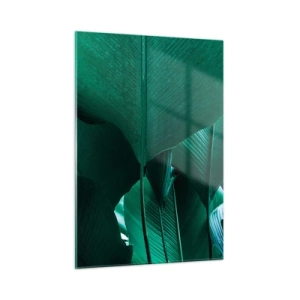 Obraz na skle - Obrácené ke světlu - 50x70 cm