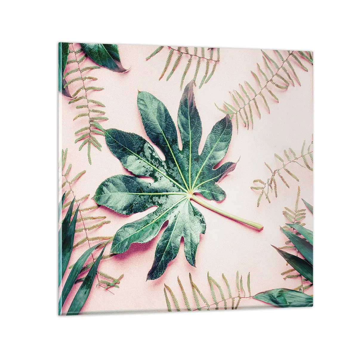 Obraz na skle - Studie zelené na růžovém pozadí - 30x30 cm