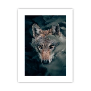 Plakát - Predátor - 30x40 cm